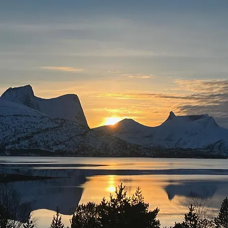 Efjord And Stetind Resort - Cabin Kulhorn Ballangen Exterior photo