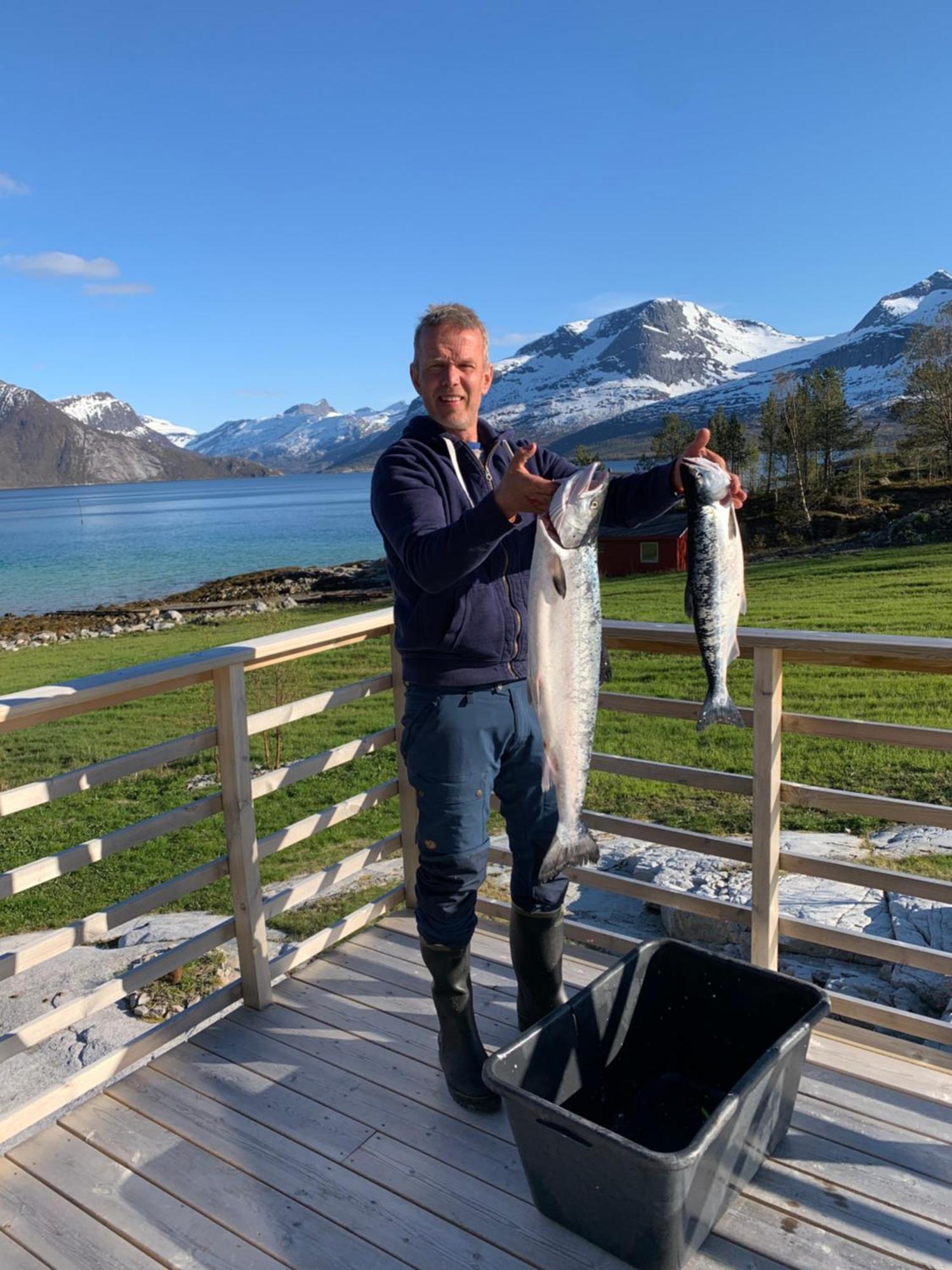 Efjord And Stetind - Kulhorn Holiday home *